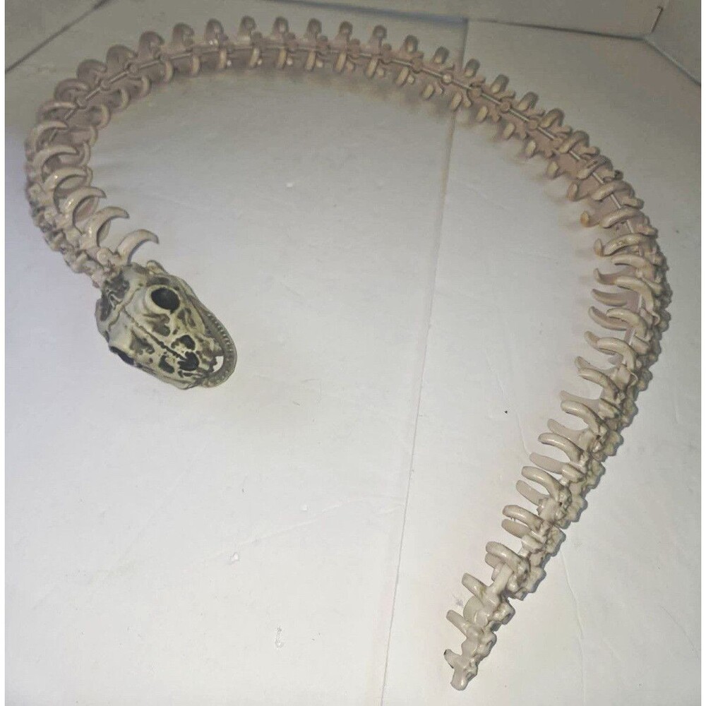 Halloween Snake Skeleton Model with Skull & Articulated Spine
